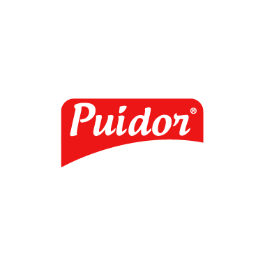 Puidor