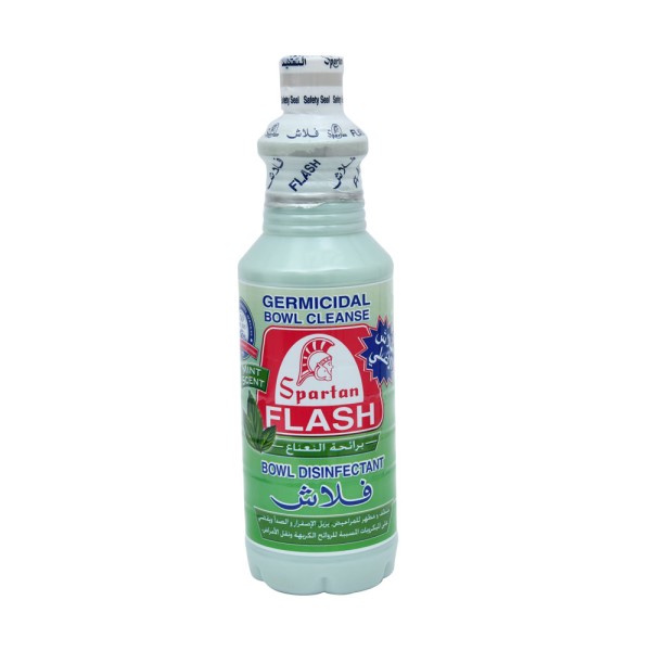 FLASH TOILET CLEANER MINT