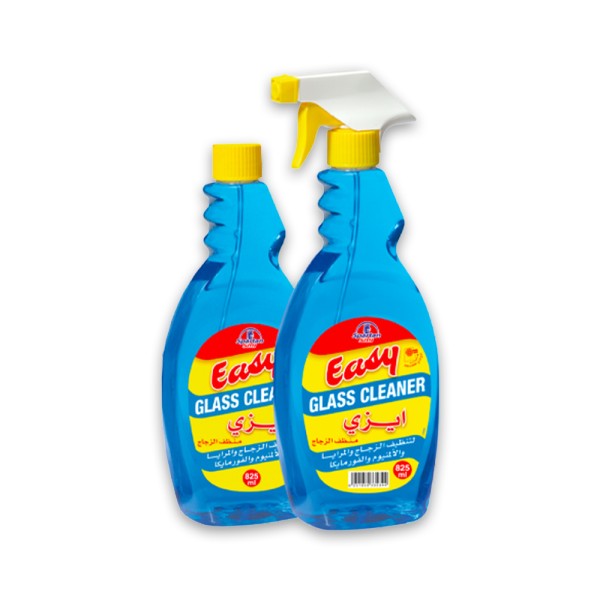 EASY EASY GLASS CLEANER 825ML+RECHANGE OFFER 10PCUT