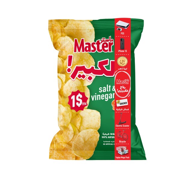 MASTER SALT AND VINEGAR CHIPS KBIR